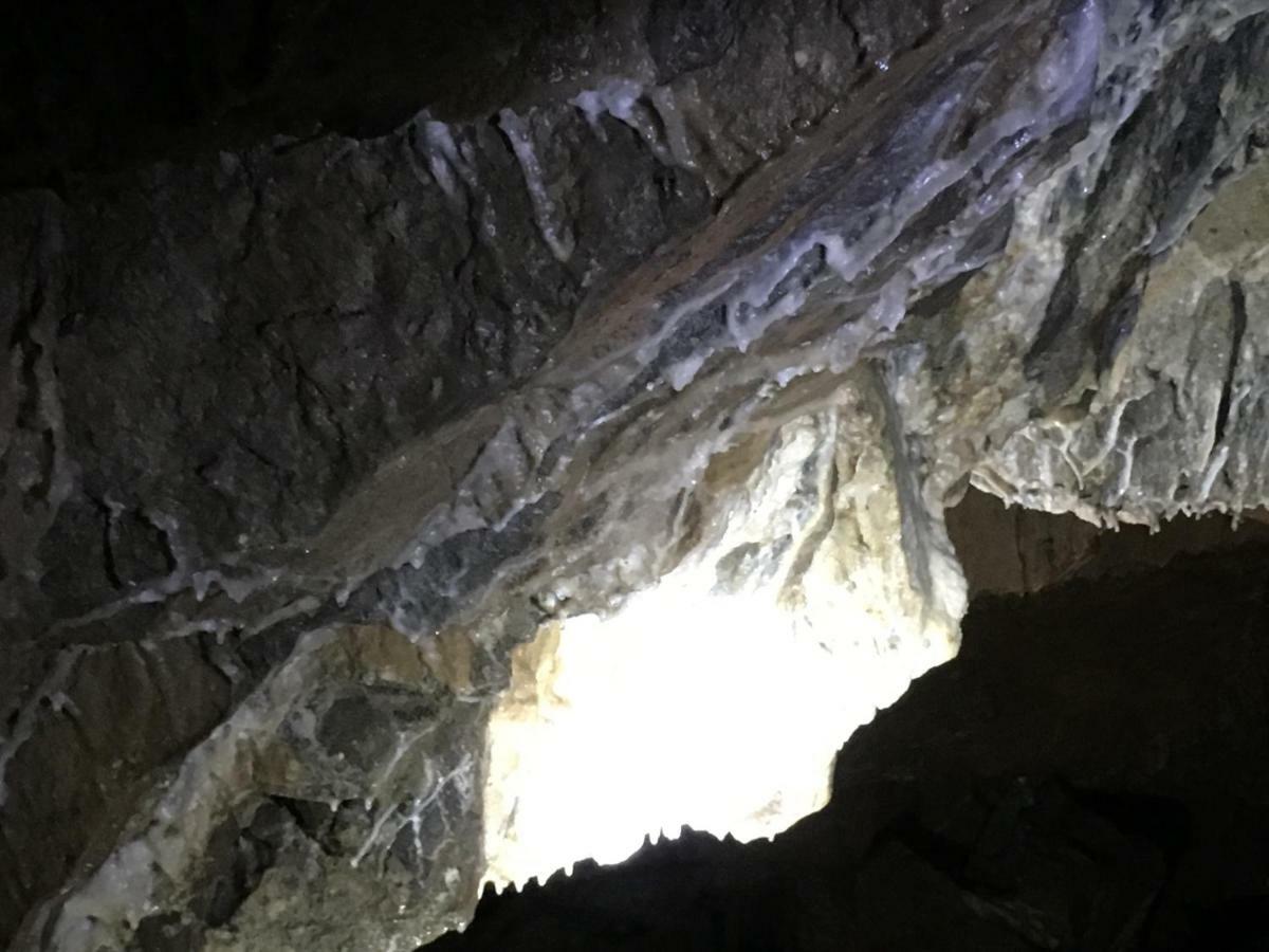 Gold Cave Casa Vacanze Relax Nel Bosco Appartamenti Pessinetto Exterior foto